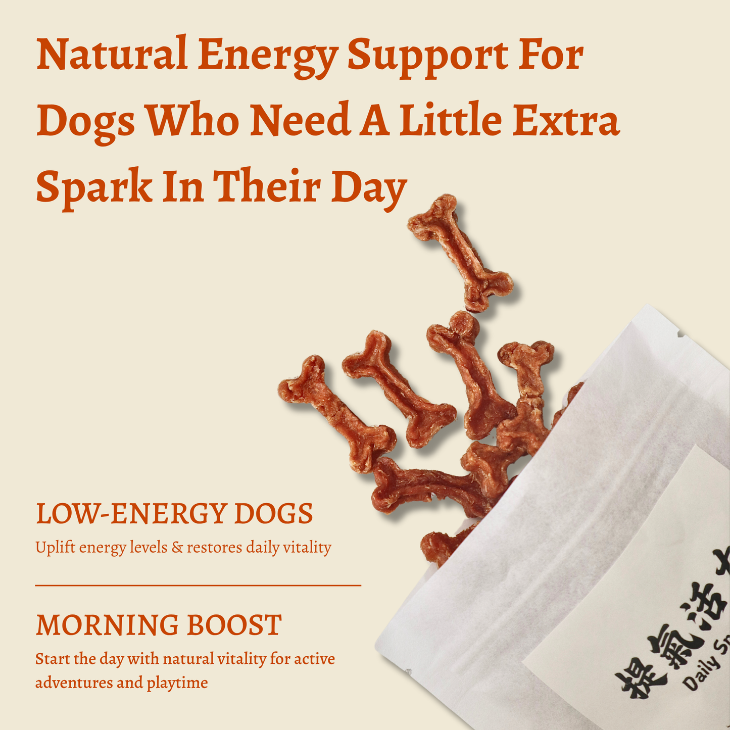 Daily Spark